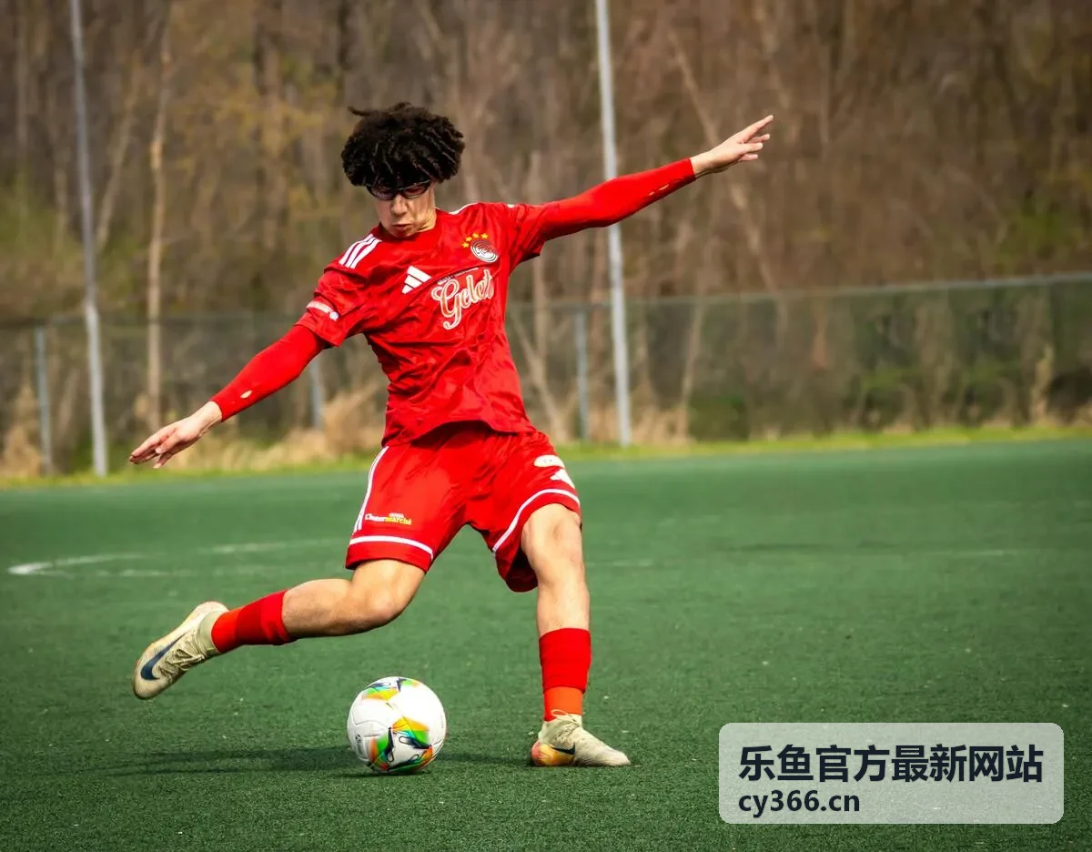 乐鱼官方最新网站 安全指南