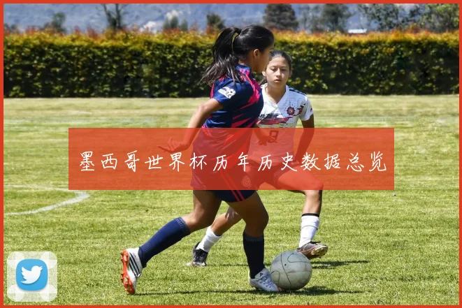 墨西哥世界杯历年历史数据总览